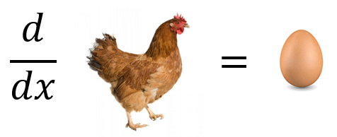The derivative of a chicken